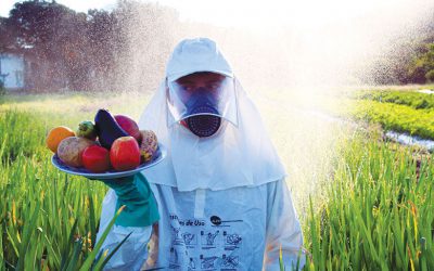 Comida ou veneno? Produção orgânica se viabiliza como garantia de segurança alimentar