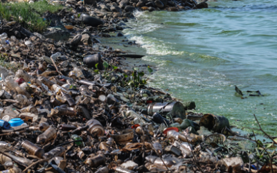 Os motores econômicos da deterioração ambiental