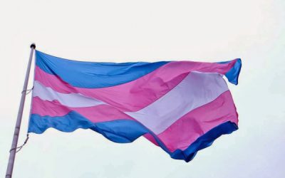 Entrada de transexuais em universidades trará mudanças sociais, diz ativista