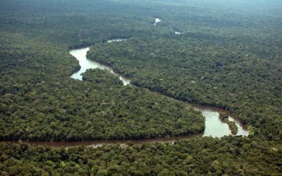 CUT condena extinção de reserva na Amazônia