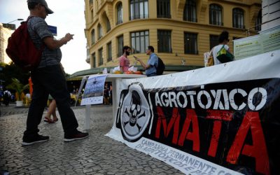 Agrotóxicos matam um brasileiro a cada 3 dias e intoxicam outros 8 diariamente