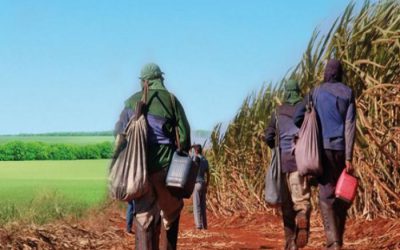 Trabalhador rural tem direito a indenização por trabalhar no sol sem intervalo