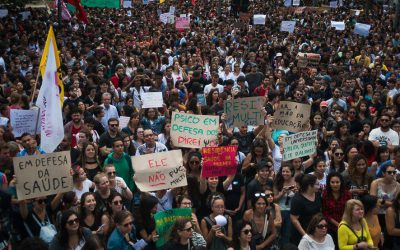 Em defesa da educação, contra o desperdício da experiência