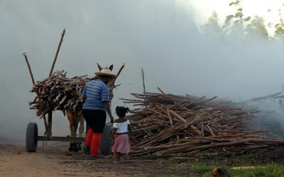 PEC de Bolsonaro é o fim da Previdência rural para muitas famílias, diz pesquisadora