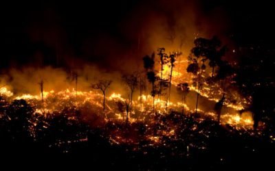 Brasil só terá importância geopolítica se preservar a Floresta Amazônica
