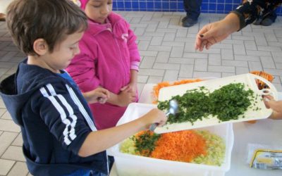 Projeto de alimentação escolar saudável pode fomentar agricultura familiar
