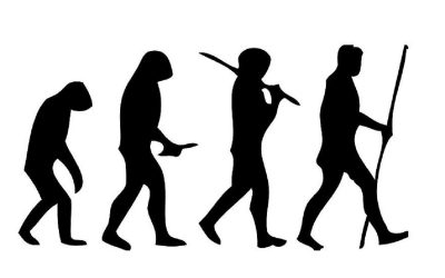 Design inteligente não é ‘alternativa’ à teoria da evolução. E nem é ciência