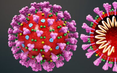 15 perguntas e respostas sobre a pandemia de coronavírus