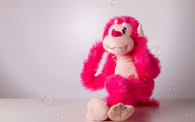 O direito à ignorância é uma coisa que não existe na Constituição