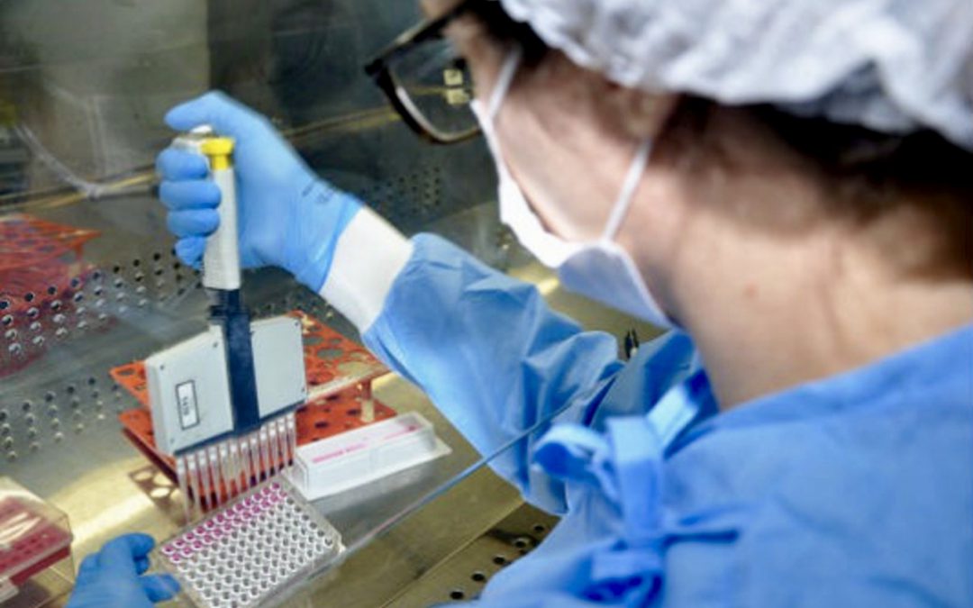 País que não acredita na ciência, Brasil se aproxima de 145 mil mortos por covid-19