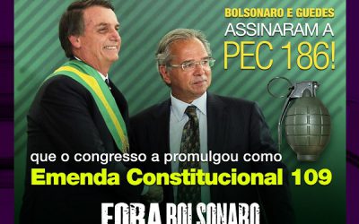 Luta social garante derrubada de vetos do governo Bolsonaro na educação