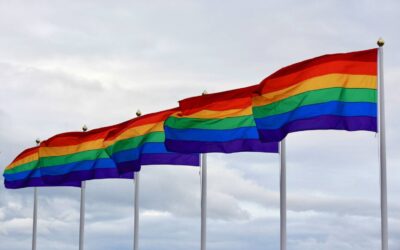 Direitos LGBT em disputa: Gênero e sexualidade têm assumido um lugar central no debate político, dizem pesquisadoras